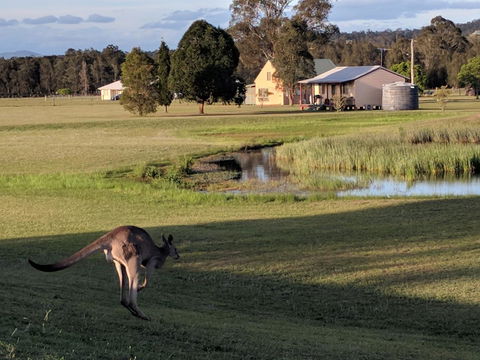 Madigan Wine Country Cottages - Accommodation Asia 6