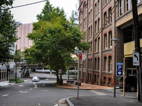 Classic 2 BR Apt In Pyrmont - Accommodation Guide 23