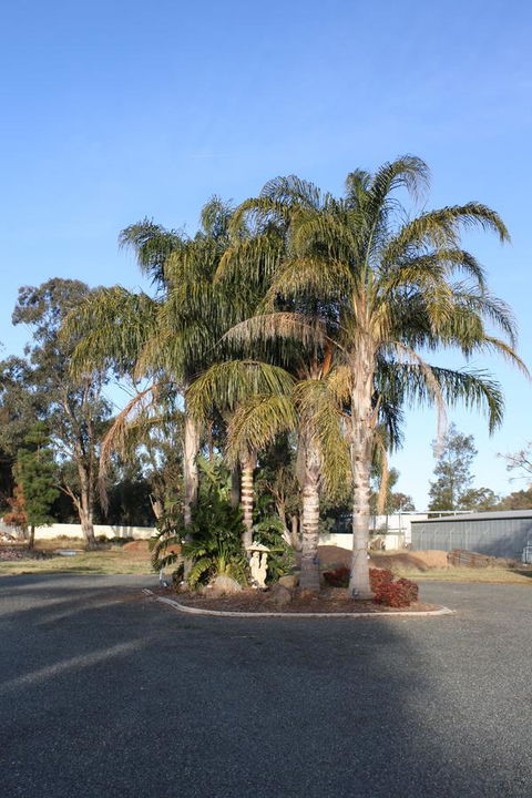 Temora Motel - Accommodation Asia 6