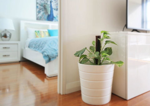 Sydney Apartment Close To Airport & CBD - Accommodation Guide 7