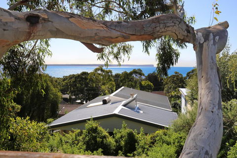 Seaglass - Stunning Views Of Jervis Bay - Accommodation Asia 26