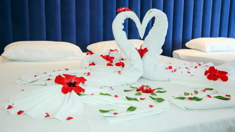 Luxury Home Hotel Next To Darling Harbour - Accommodation Guide 16