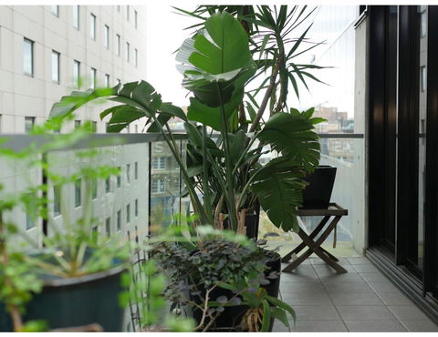 Urban Loft Close To Sydney Hot Spots - Accommodation Asia 11
