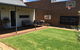 Thelma's Temora - thumb 11