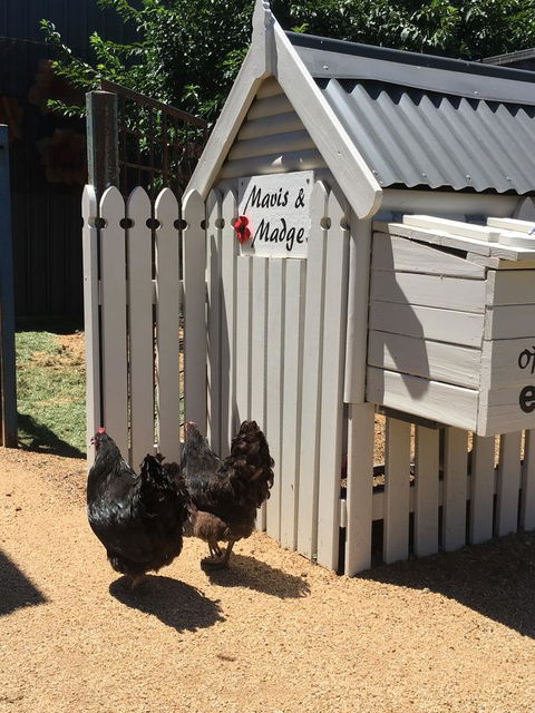 Thelma's Temora - Accommodation Asia 12