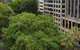 Madison Carrington Apartments - thumb 1