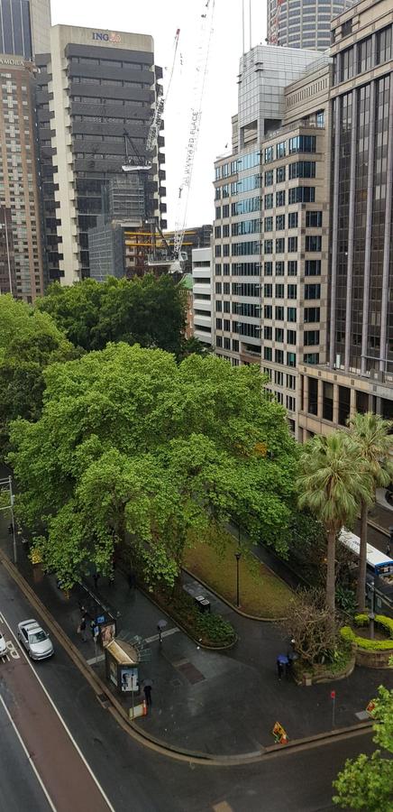 Madison Carrington Apartments - Accommodation Guide 1