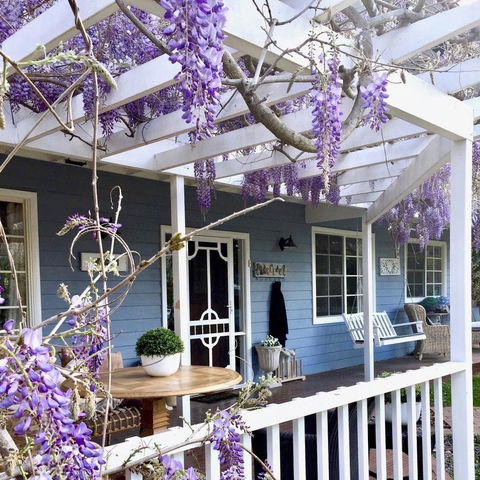 Bowral Escape - Accommodation Asia 1