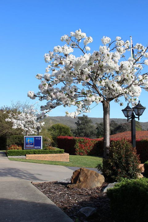 Hume Country Motor Inn - Accommodation Asia 0