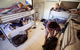 Jump Inn Alice Budget Accommodation - thumb 13