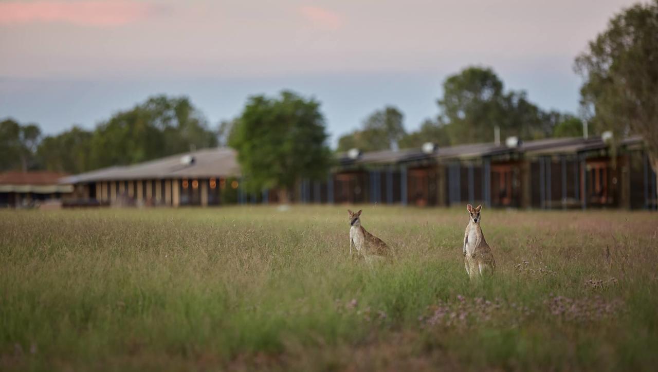 Douglas Daly NT Accommodation Guide