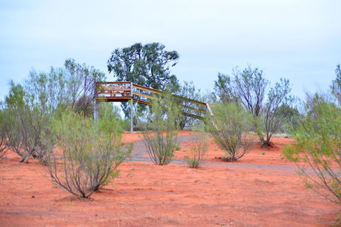 Erldunda Desert Oaks Resort - Accommodation Asia 42