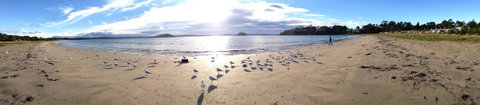 Corrigans Cove - Accommodation Guide 2