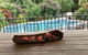 Arafura Blue - thumb 23