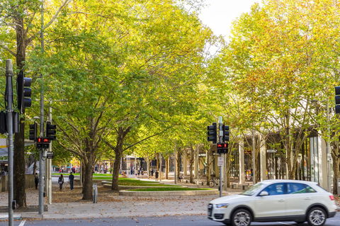 Highgate Executive Apartment City Walk Canberra - Accommodation Asia 37