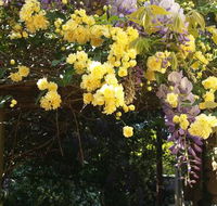 Bowral Road Bed and Breakfast - Accommodation Asia