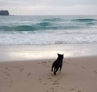 Breakers at Mudjimba Beach - Accommodation Asia