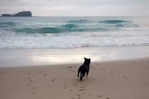 Breakers At Mudjimba Beach - Accommodation China 0