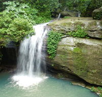Buderim Forest Hideaway - Accommodation Asia