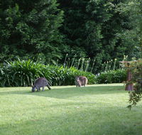 Bundanoon 2578 - Accommodation Asia