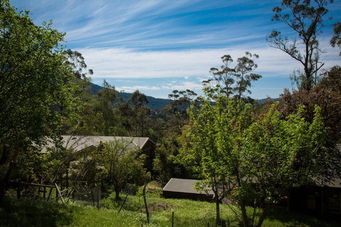 Buttercup Hill - Accommodation Guide 2