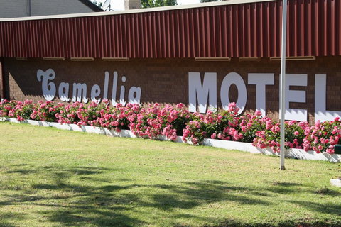 Camellia Motel - Accommodation Asia 2