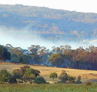 Candlebark Retreat - Accommodation Guide