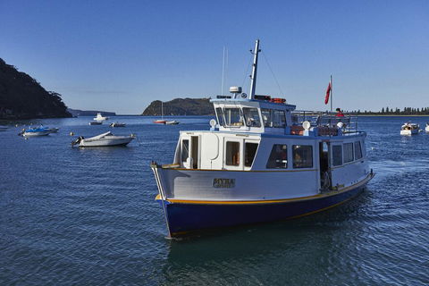 Cape Mackerel Cabin With Magic Palm Beach & Pittwater Views - Accommodation China 2