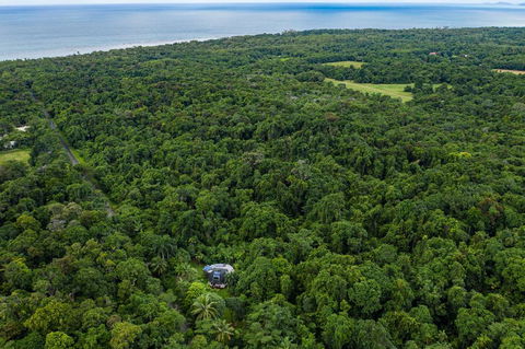 Cape Tribulation Holiday House - Accommodation China 1