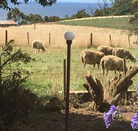 Cape View B and B - Accommodation Asia