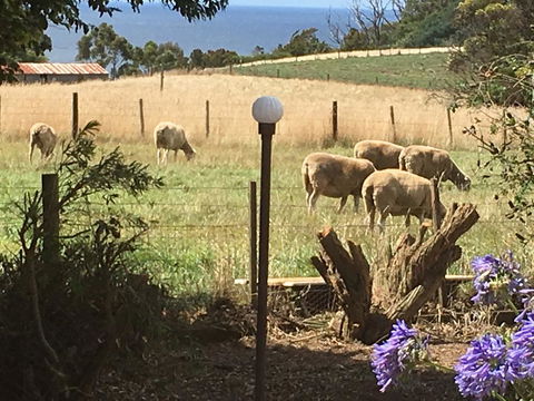 Cape View B And B - Accommodation China 0