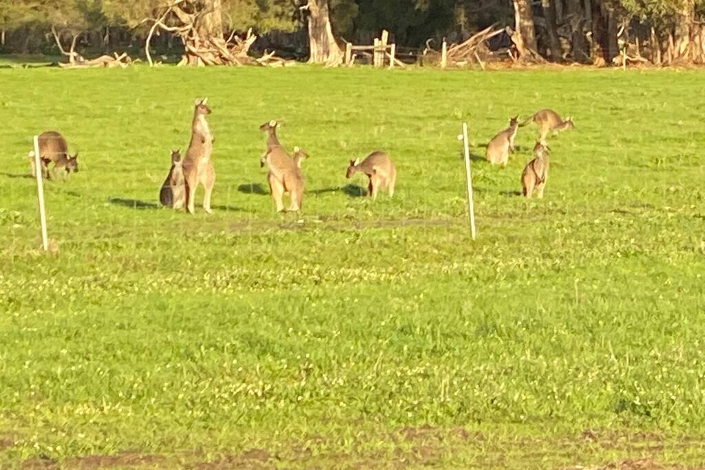 Carbunup River WA Accommodation Asia