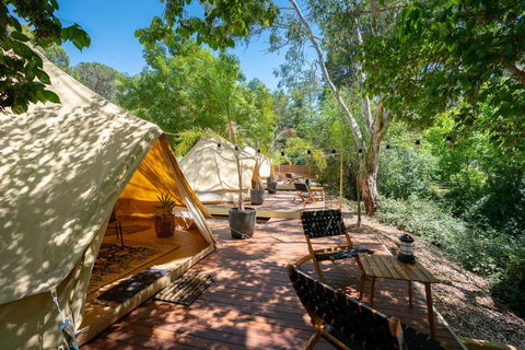 Castlemaine Gardens Luxury Glamping - Accommodation Asia 0