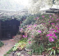 Charming country house close to Grafton - Accommodation Asia