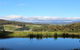 Cherryview Cygnet - thumb 1