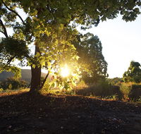 Clarendon Forest Retreat - Accommodation Asia