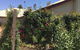 Club Boutique Hotel Cunnamulla - thumb 2