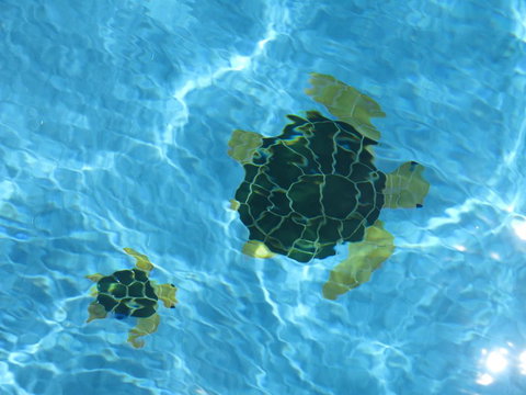 Coogee WA Accomodation - Accommodation Asia 1