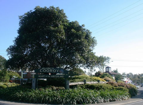 Cooroy Luxury Motel Apartments - Accommodation Asia 2