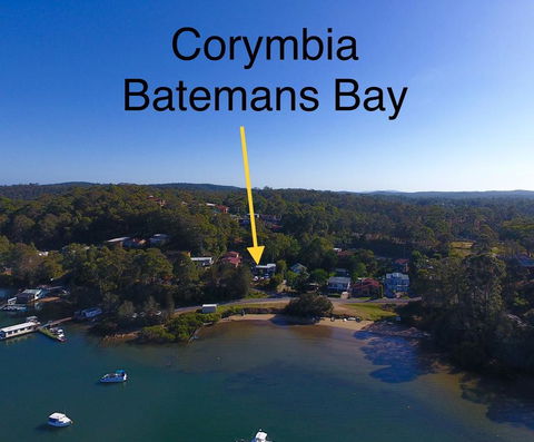 Corymbia Batemans Bay - Accommodation Asia 1
