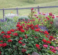 Country Mile Escape - Accommodation Asia