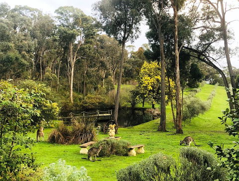 Countryside Retreat Intimate Studio Hepburn - Daylesford - Accommodation Guide 0