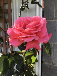 Book Mulgrave Accommodation Vacations Accommodation Asia Accommodation Asia