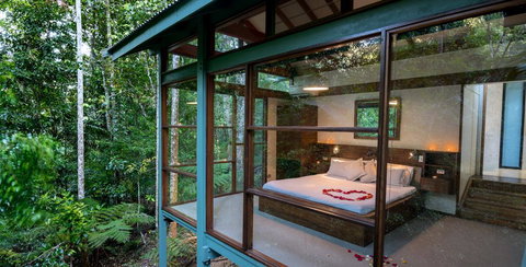 Crystal Creek Rainforest Retreat - Accommodation China 3