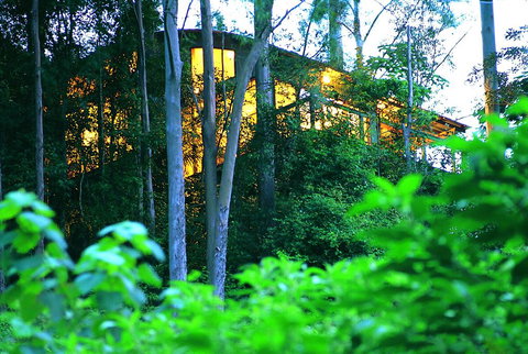 Crystal Creek Rainforest Retreat - Accommodation China 1