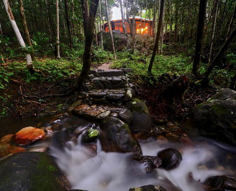 Daintree Cascades - Accommodation Guide 0