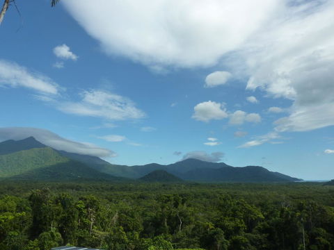 Daintree Holiday Homes - La Vista - Accommodation Asia 3