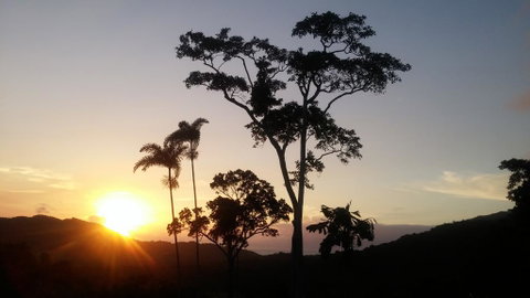 Daintree Holiday Homes - Yurara - Accommodation Guide 0