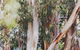 Dalblair Bed & Breakfast - thumb 2