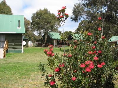 Derwent Bridge Chalets & Studios - Accommodation Guide 1